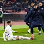 Serbia’s Terzic: From Celebration Ecstasy to Injury Woes